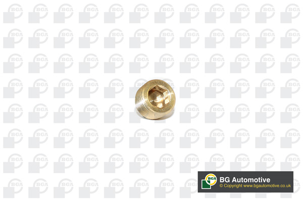 BOSCH FIAT 500 1.2I Full Service Kit With Engine Oil - OIL AIR POLLEN SPARK PLUG