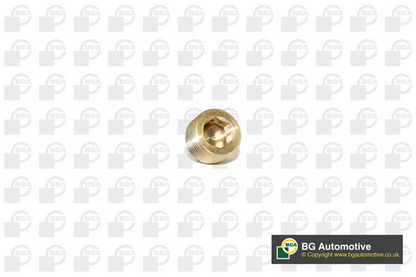 BOSCH FIAT 500 1.2I Full Service Kit With Engine Oil - OIL AIR POLLEN SPARK PLUG