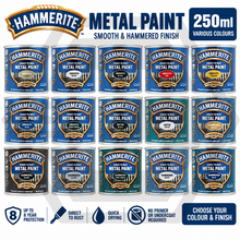 Hammerite Direct To Rust Quick Drying Metal Paint - Various Colours - 250ml