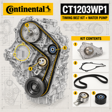 CT1203WP1 Timing Belt Kit With Water Pump for Citroen DS Ford Opel Peugeot Toyota