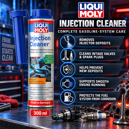 LIQUI MOLY Injection Cleaner 300ml [PACK OF 2] - 1803