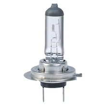 H7 12V 55W Halogen Headlight Bulb – S499 Car Headlamp Replacement