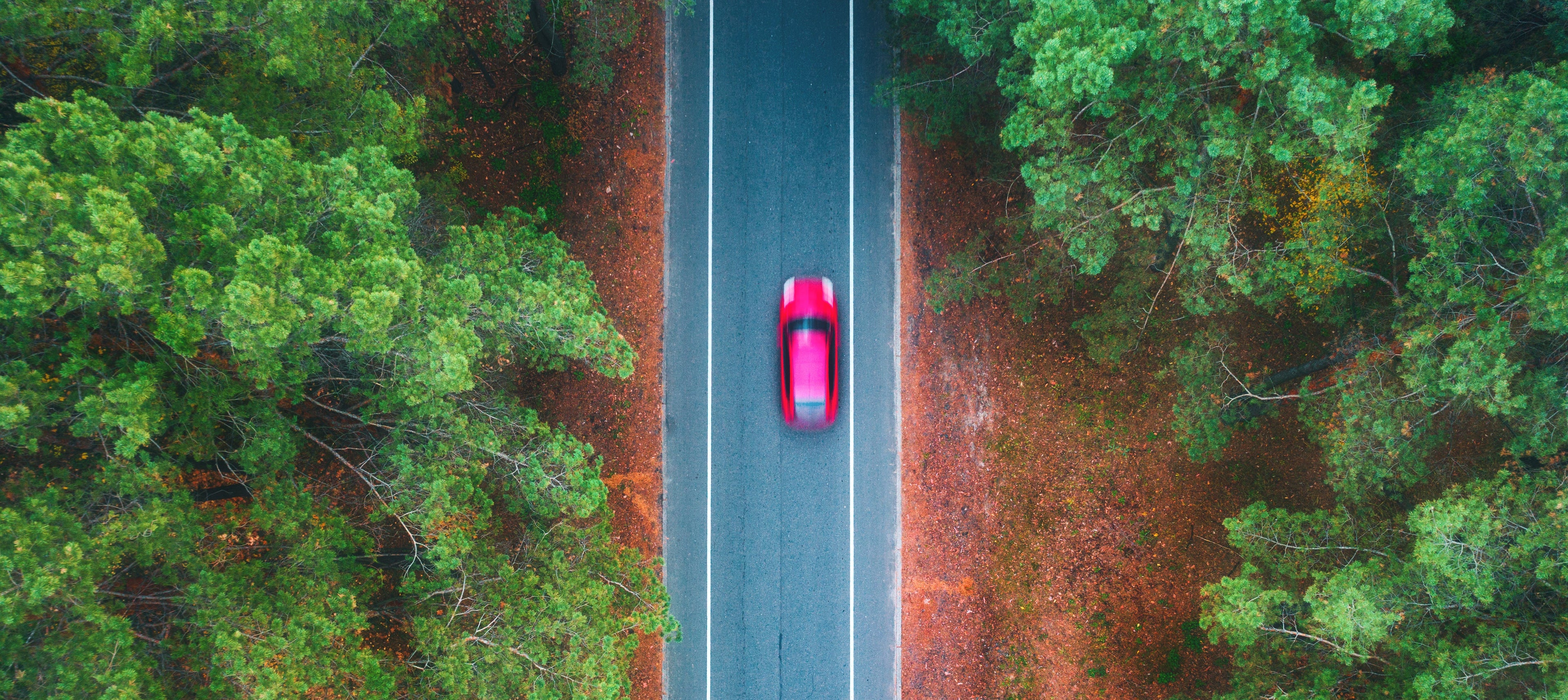 Red car on a road surrounded by green trees from an aerial view