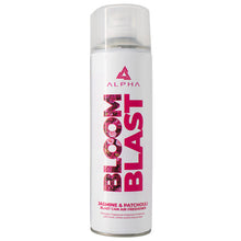 Blast Can Air Freshener 500ml